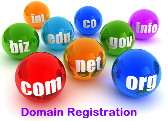 Domain Name Registration